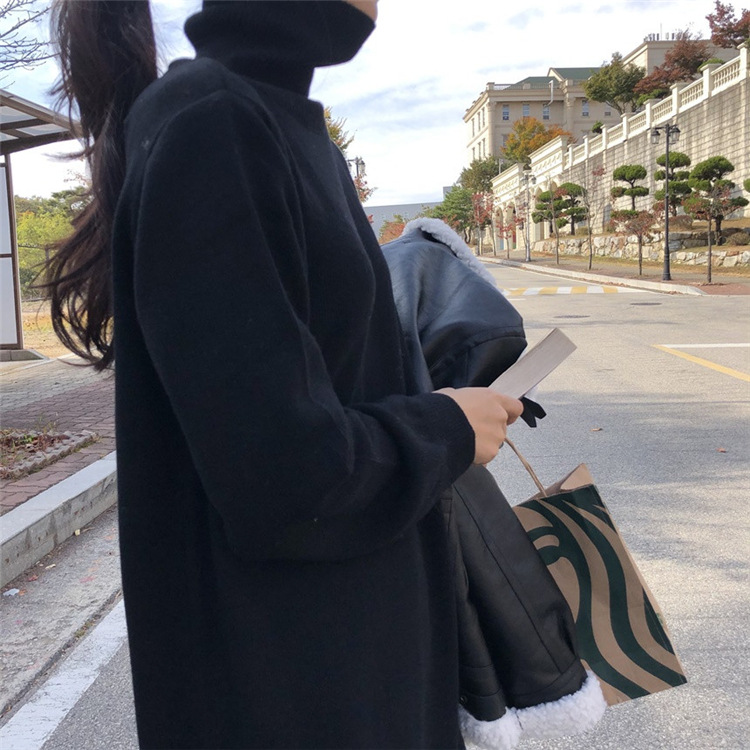 Easy-Fitting Turtleneck Sweater Dress